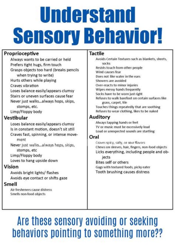 What are sensory seeking behaviors?