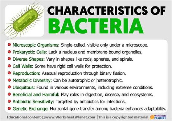 What are the 4 characteristics of bacteria?