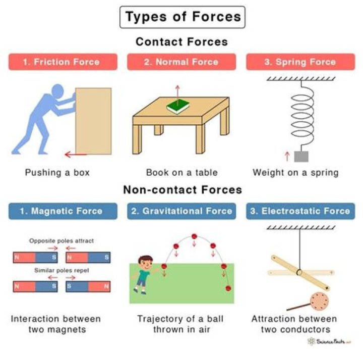 What are the four types of consequences?