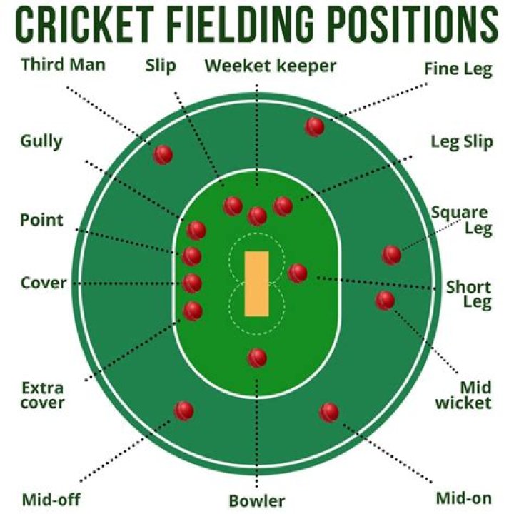 What are the most important fielding positions cricket?