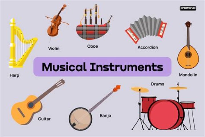 What are the musical instruments?