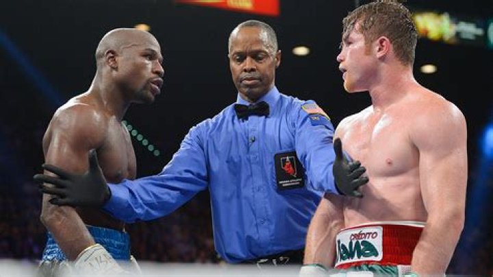 What are the only three words used by a boxing referee?