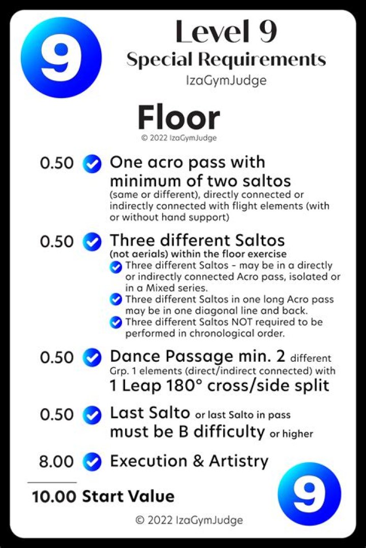 What are the requirements for Level 9 gymnastics?