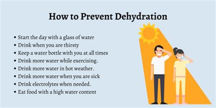 What are the signs of dehydration in a cat?