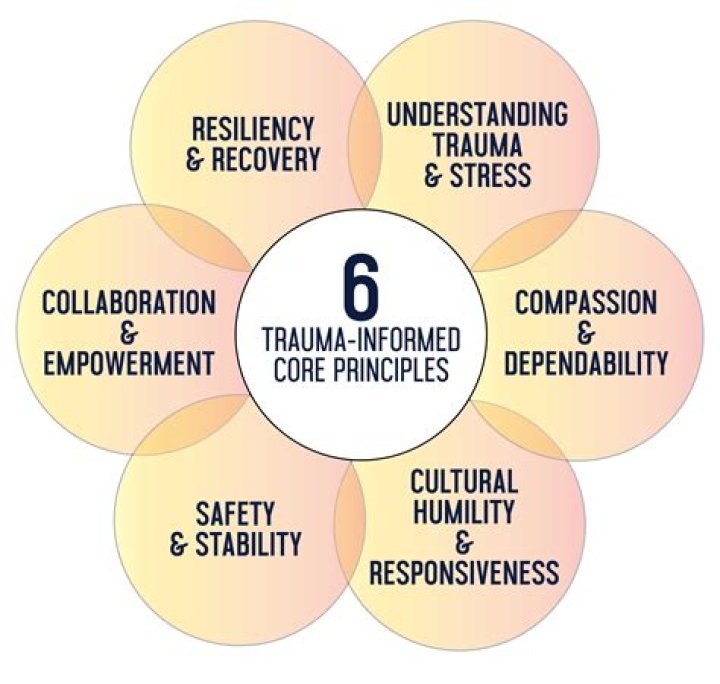 What are the six principles of good complaint handling?