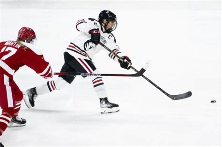 What are the two types of shots in hockey?