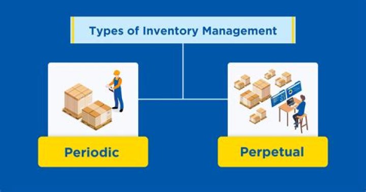 What are two types of perpetual inventory systems?