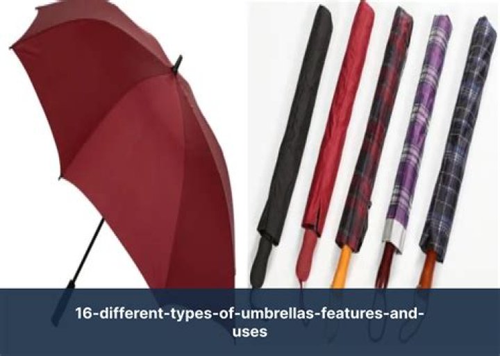 What are umbrellas called in England?