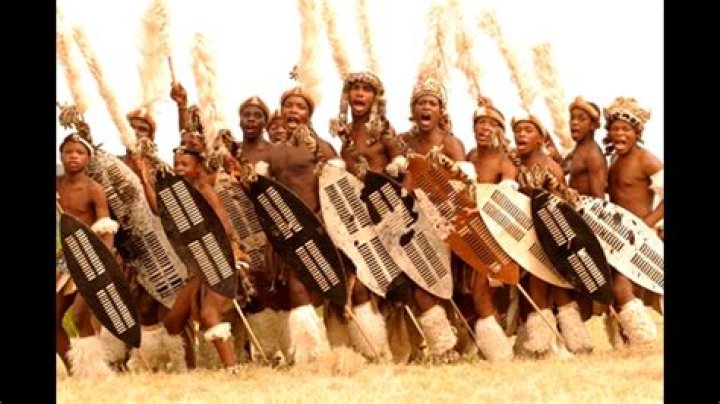 What are Zulu warriors called?