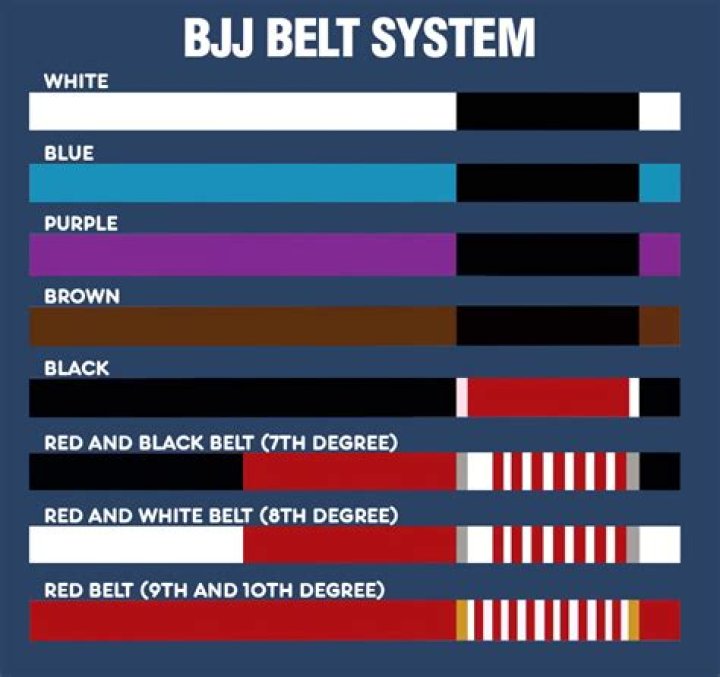 What belts are in BJJ?