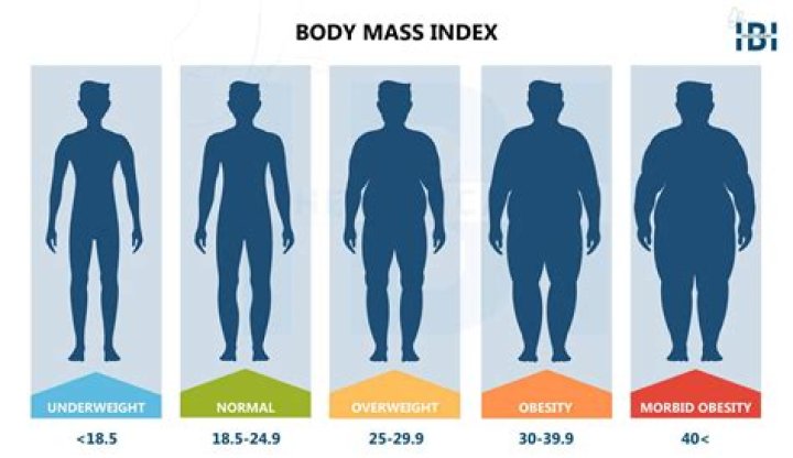 What BMI is chubby?