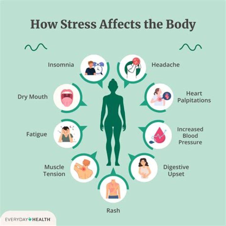 What can stress do to your body?