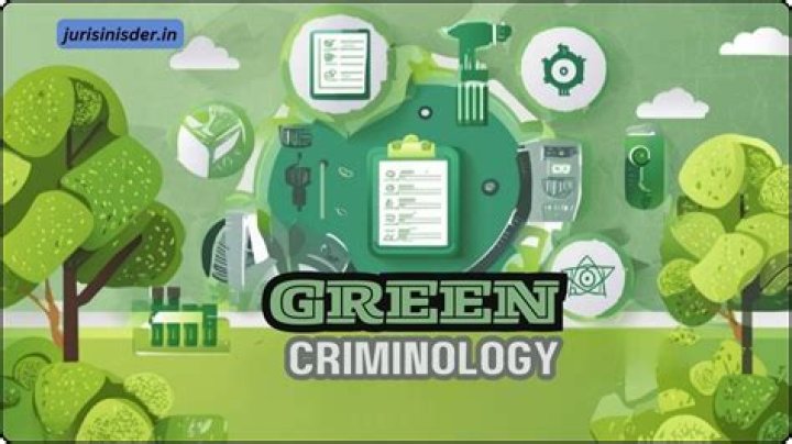 What causes green crime?
