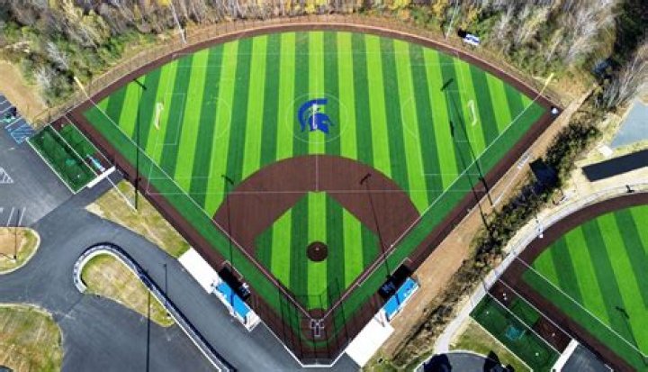 What cleats are best for turf baseball?