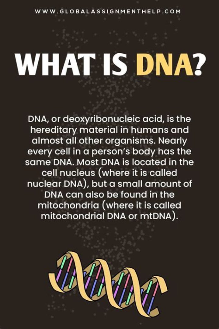 What color is DNA in real life?