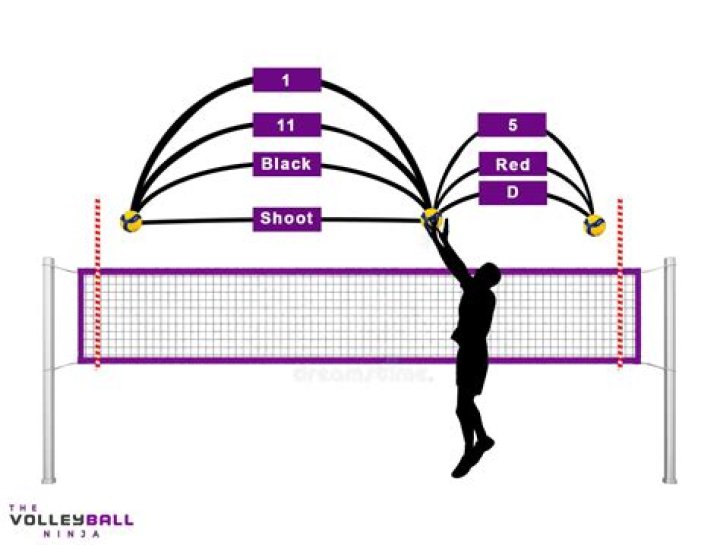 What division Volleyball is FSU?