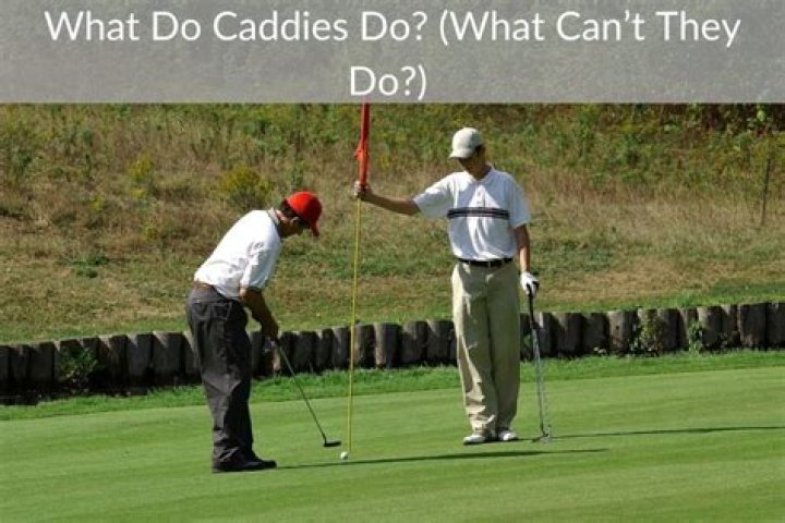 What do caddies do?