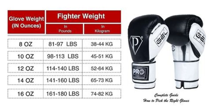 What do professional boxing gloves weigh?