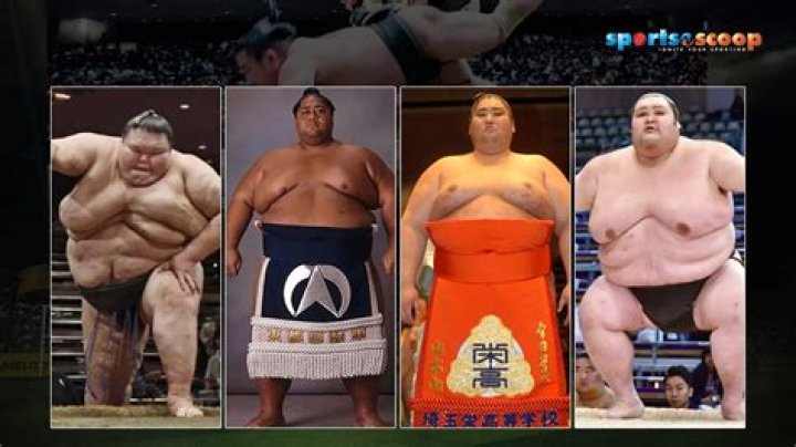 What do they give sumo wrestlers after they win?
