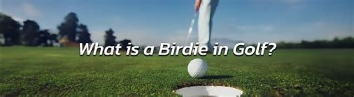 What does a birdie in golf mean?