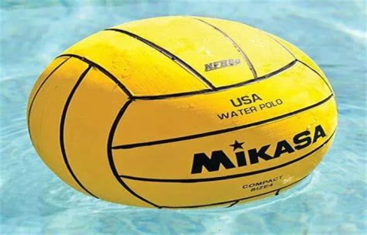 What does a water polo ball look like?