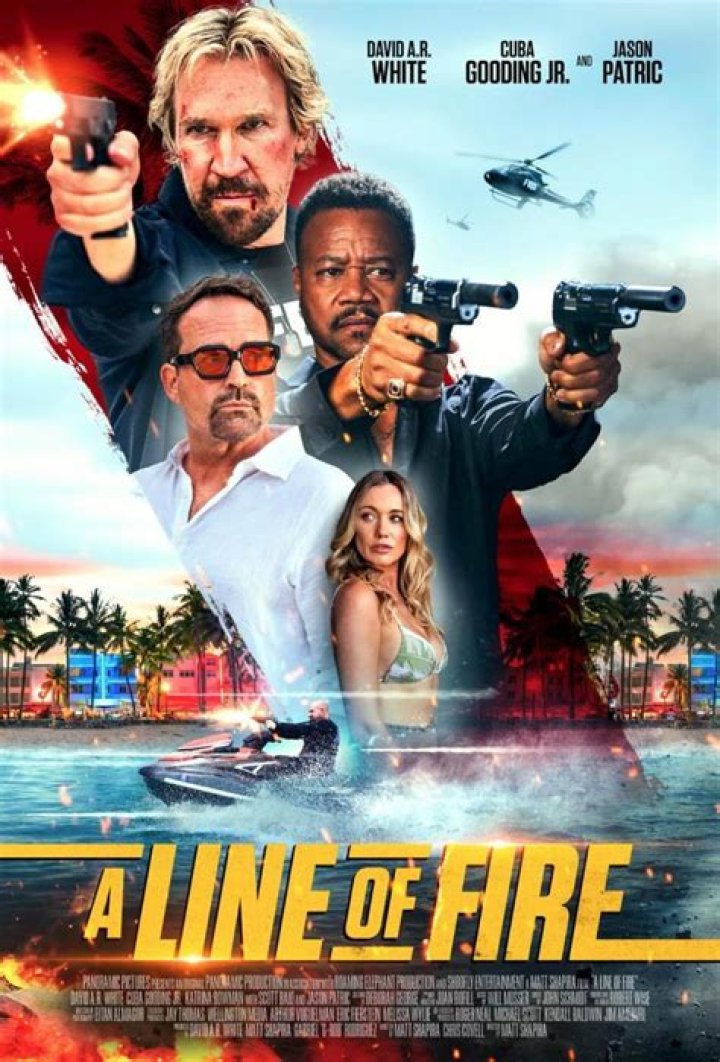 What does in the line of fire mean?