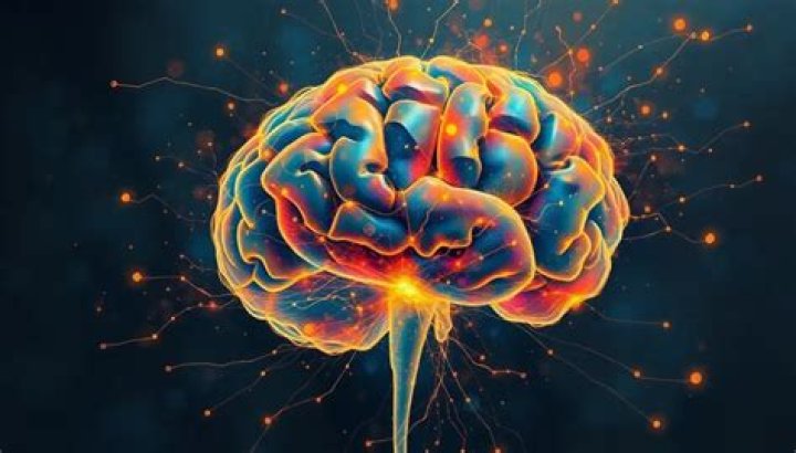 What does juggling do to the brain?