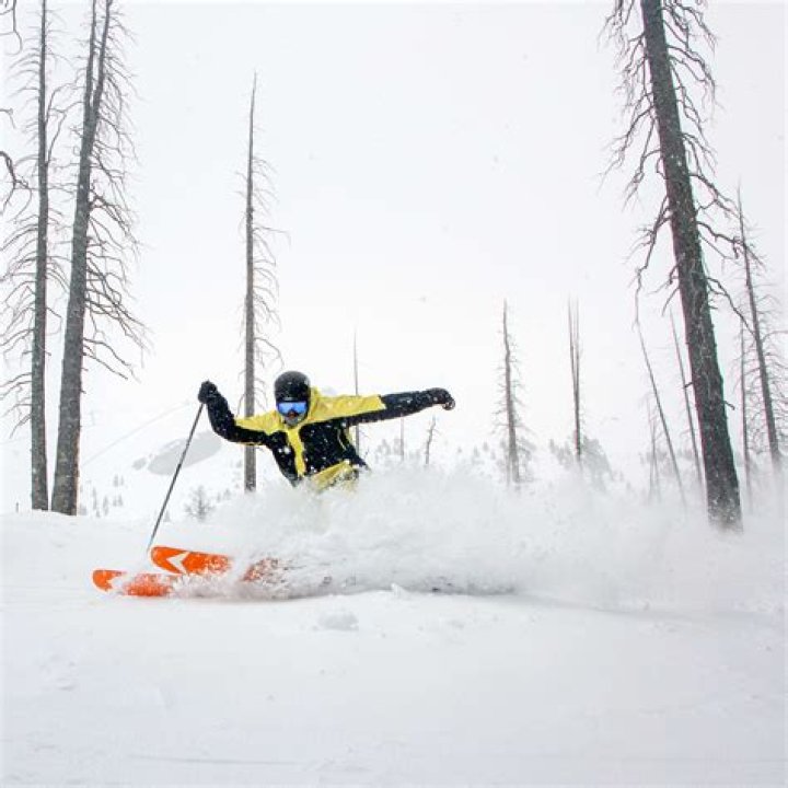 What does powder skiing mean?