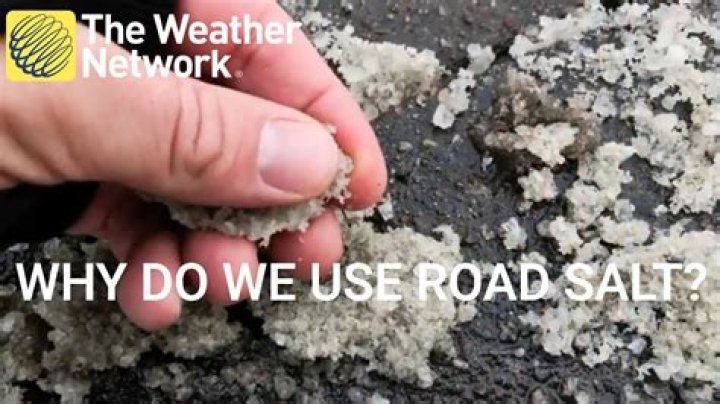 What does rock salt do to tree roots?
