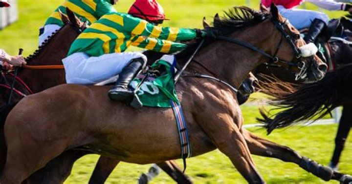 What does SWP mean in horse racing?