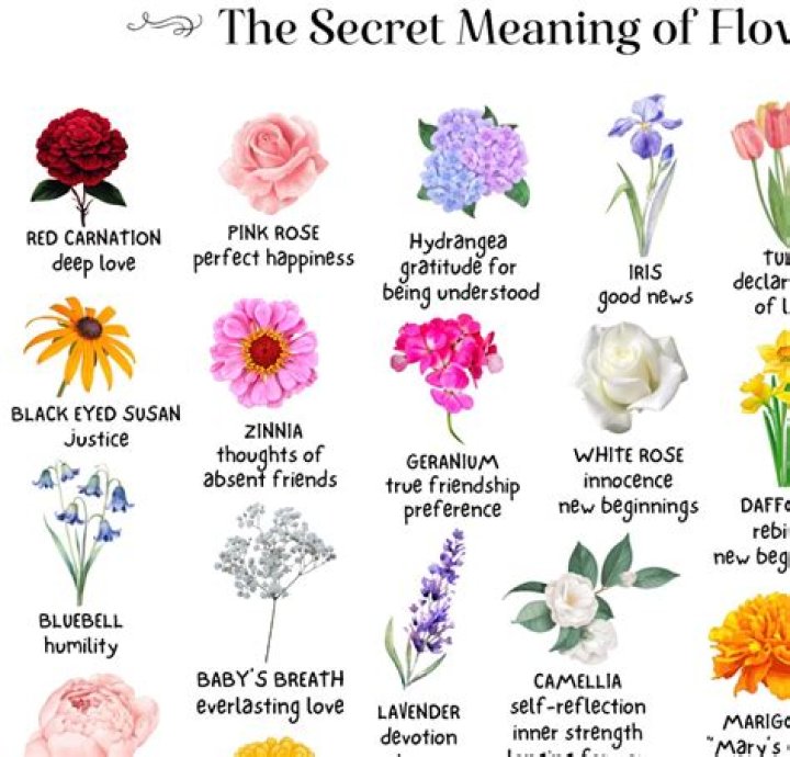 What flower means depression?