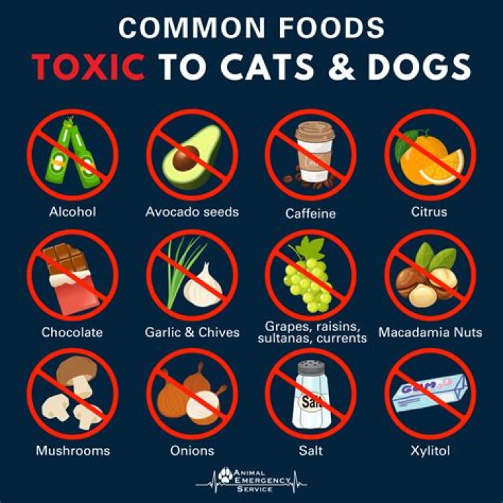 What foods are poisonous to skunks?