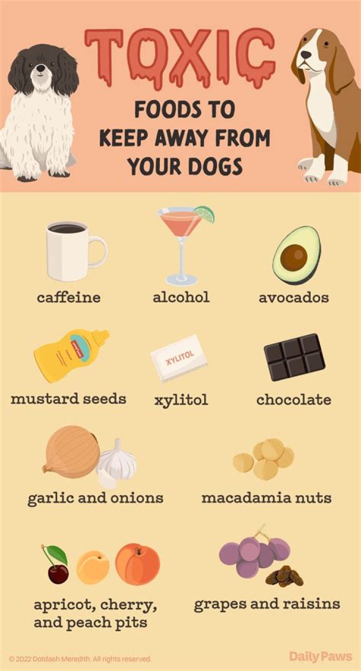 What foods should dogs with IBD avoid?