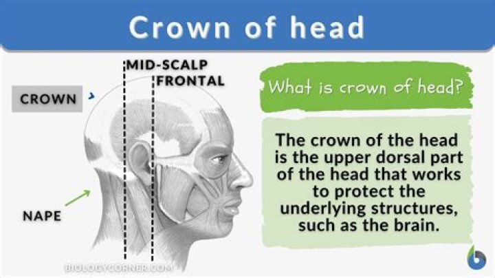 What happens if you lead with the crown of your helmet to make a tackle?