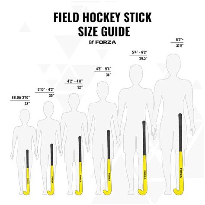 What height should hockey stick be?