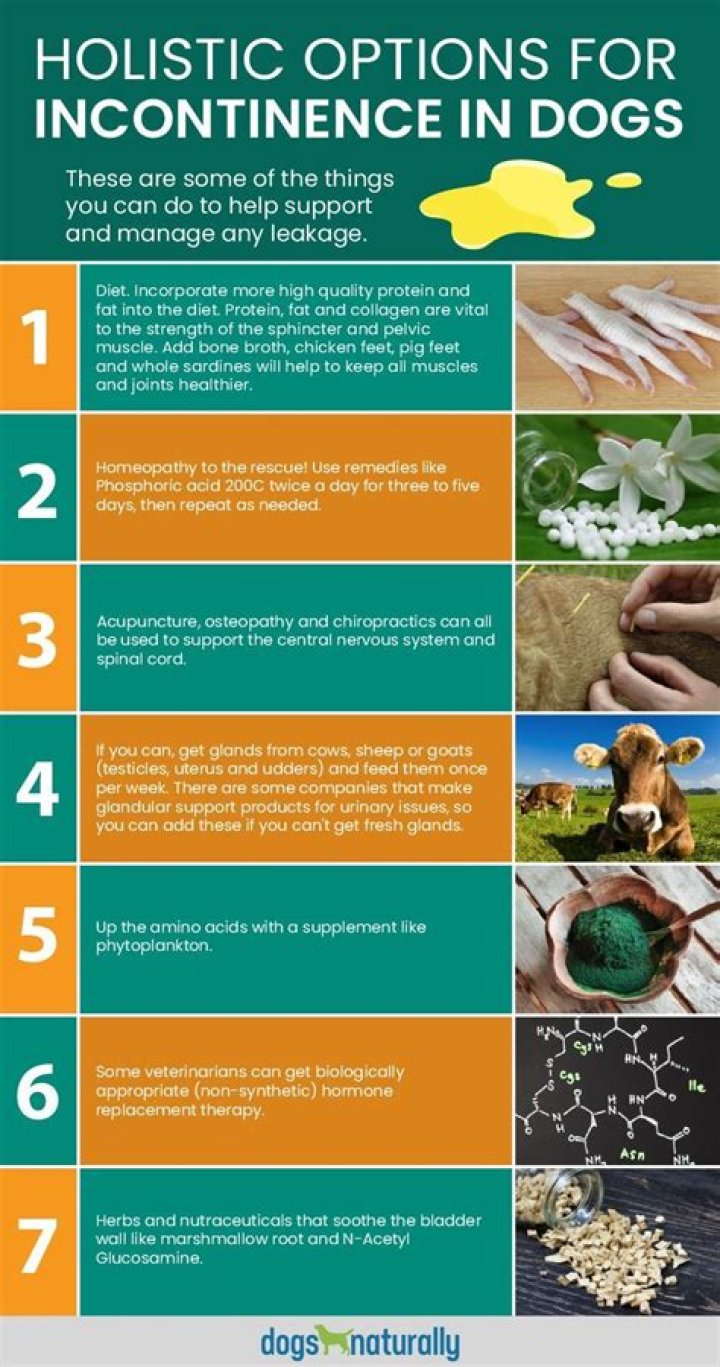 What helps incontinence in dogs naturally?