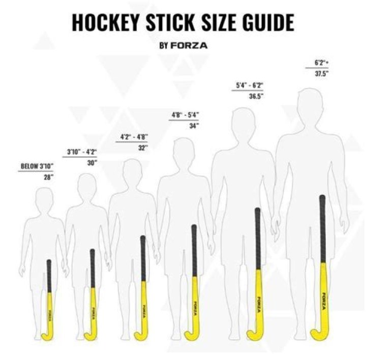 What hockey stick does Chara use?