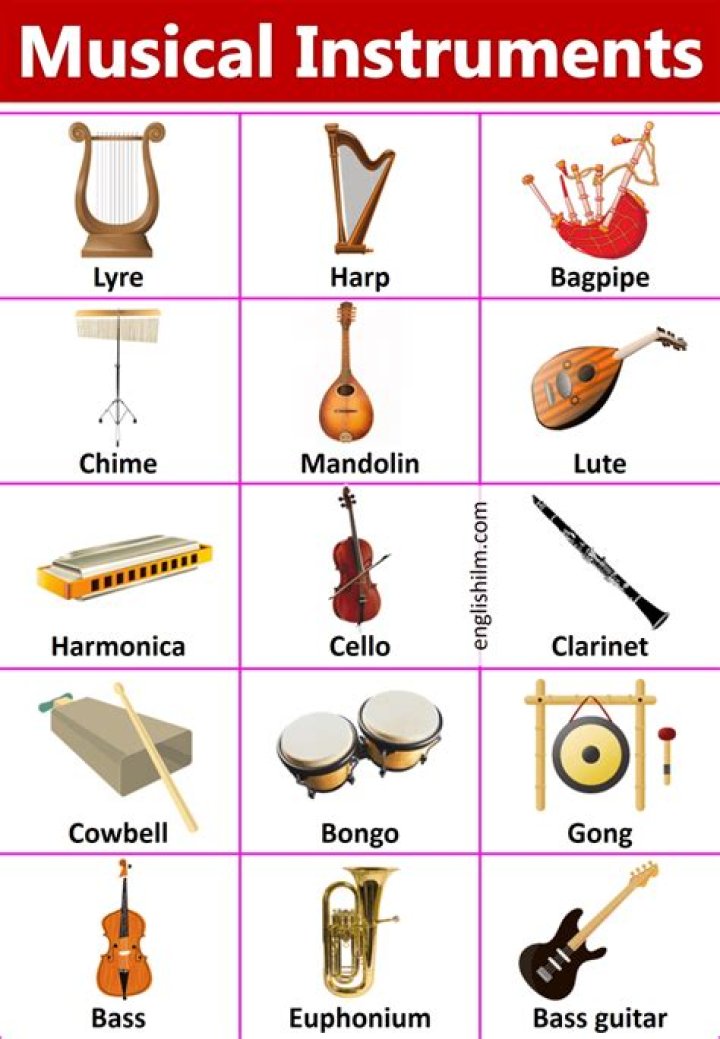 What instruments should a beginner learn?