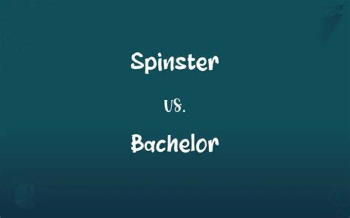 What is a male spinster called?