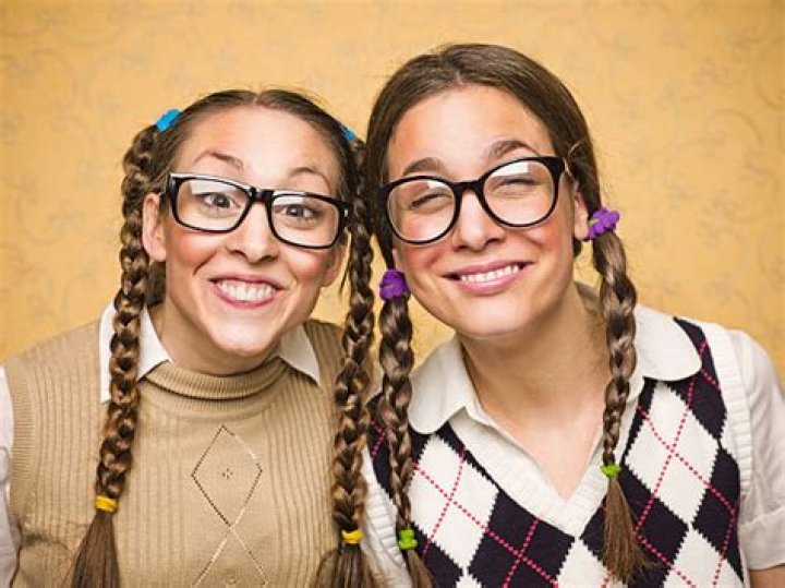 What is a nerdy person?