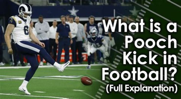 What is a pooch kick in football?