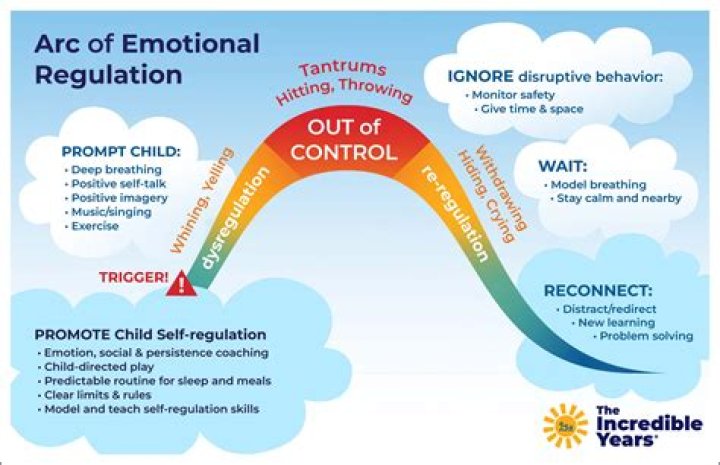 What is an emotional shutdown?