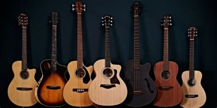 What is an Indian guitar called?