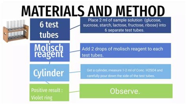 What is being added to the solution of the sample and Molisch reagent in order to initiate the reaction in the Molisch's test?