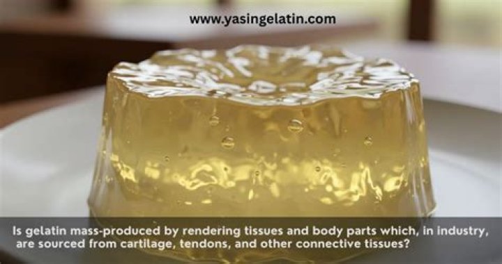 What is bovine gelatin made from?