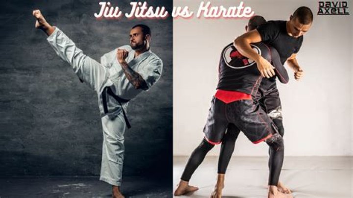 What is difference between karate and Jiu Jitsu?