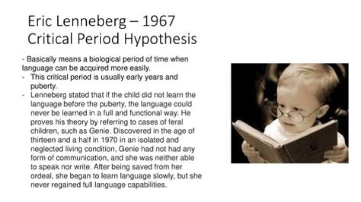 What is Lenneberg theory?