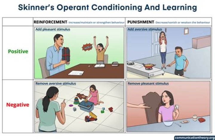 What is Skinner's theory of learning?