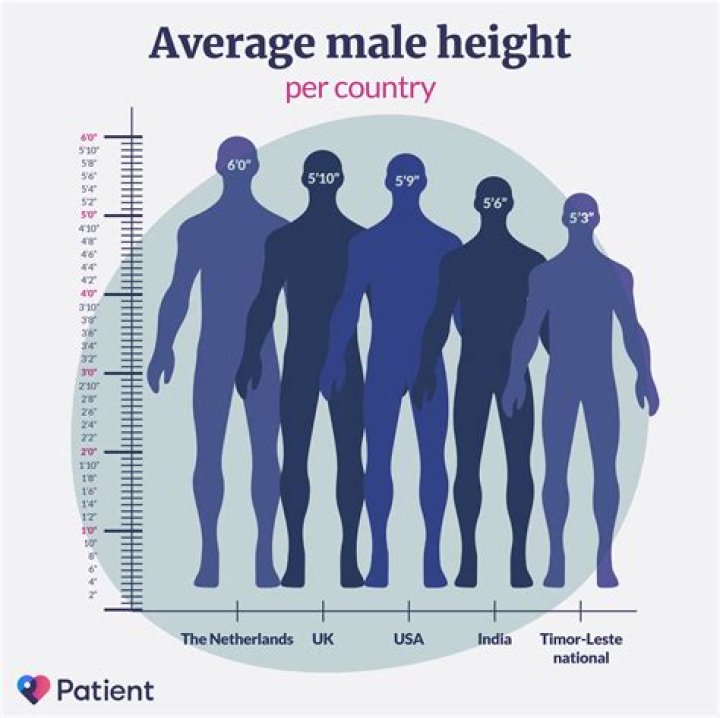 What is the average height of an Olympic runner?