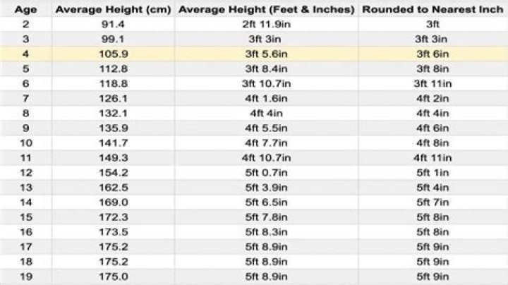 What is the average size of a d1 running back?